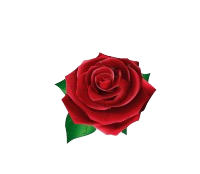 ����� ����