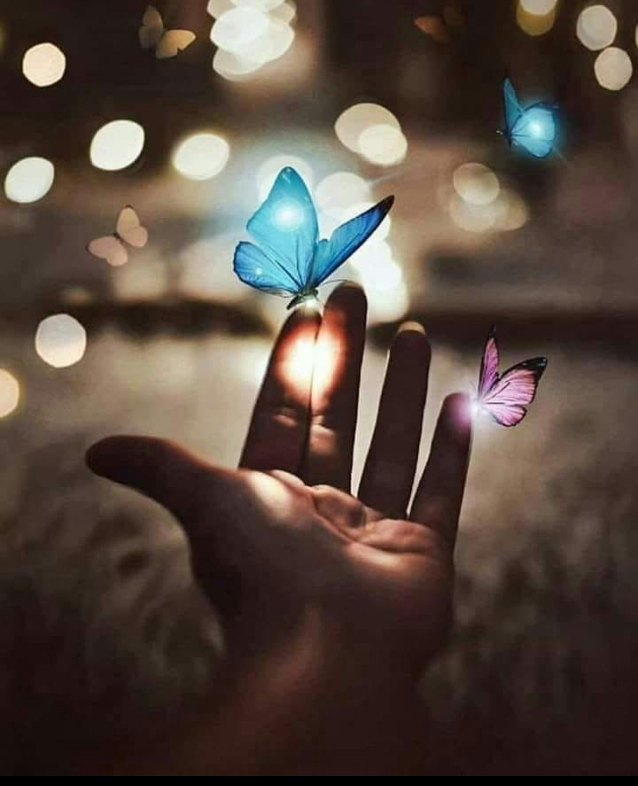 ������� ���� ����