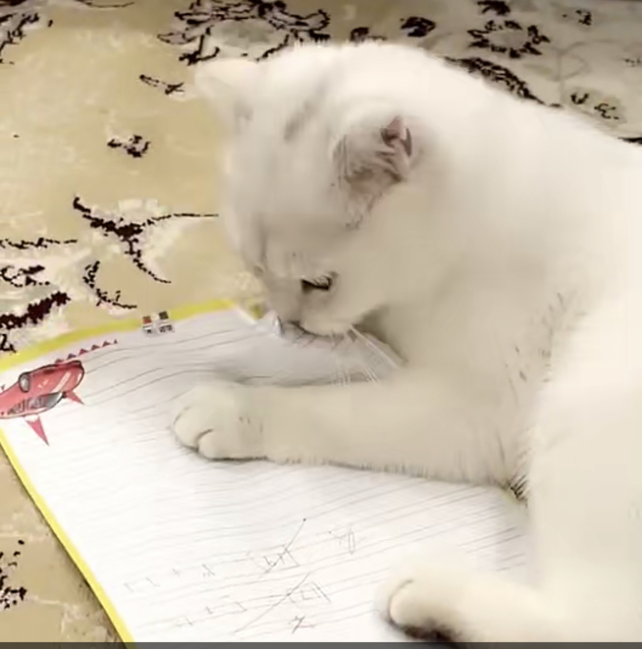 ����� ���� �������