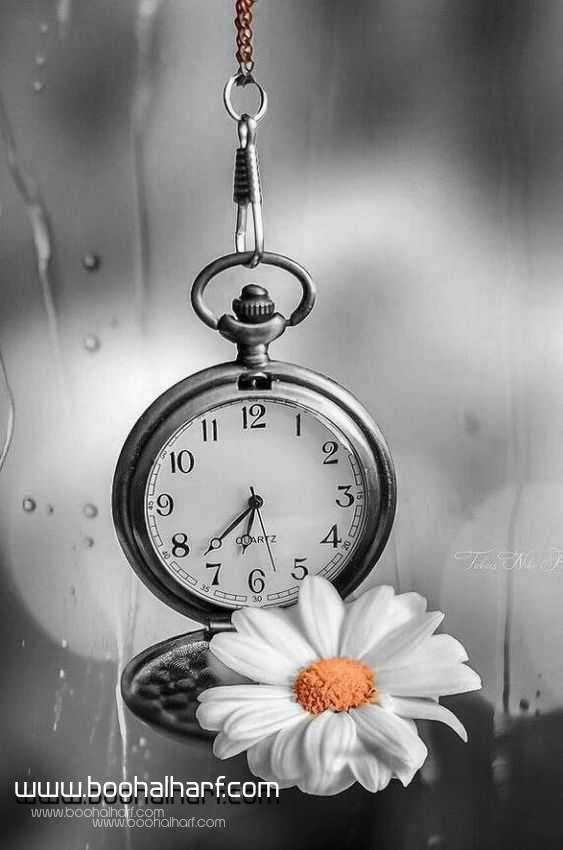 ������ ���� ���.!