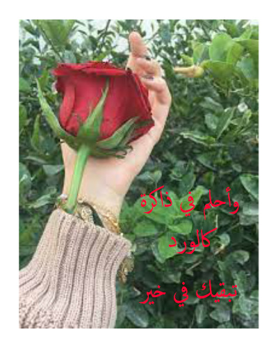 ����� �����