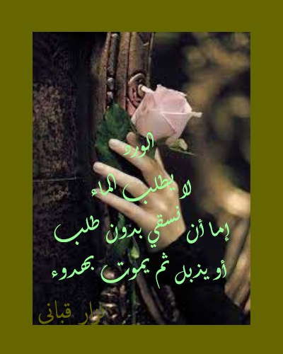 ����� �����