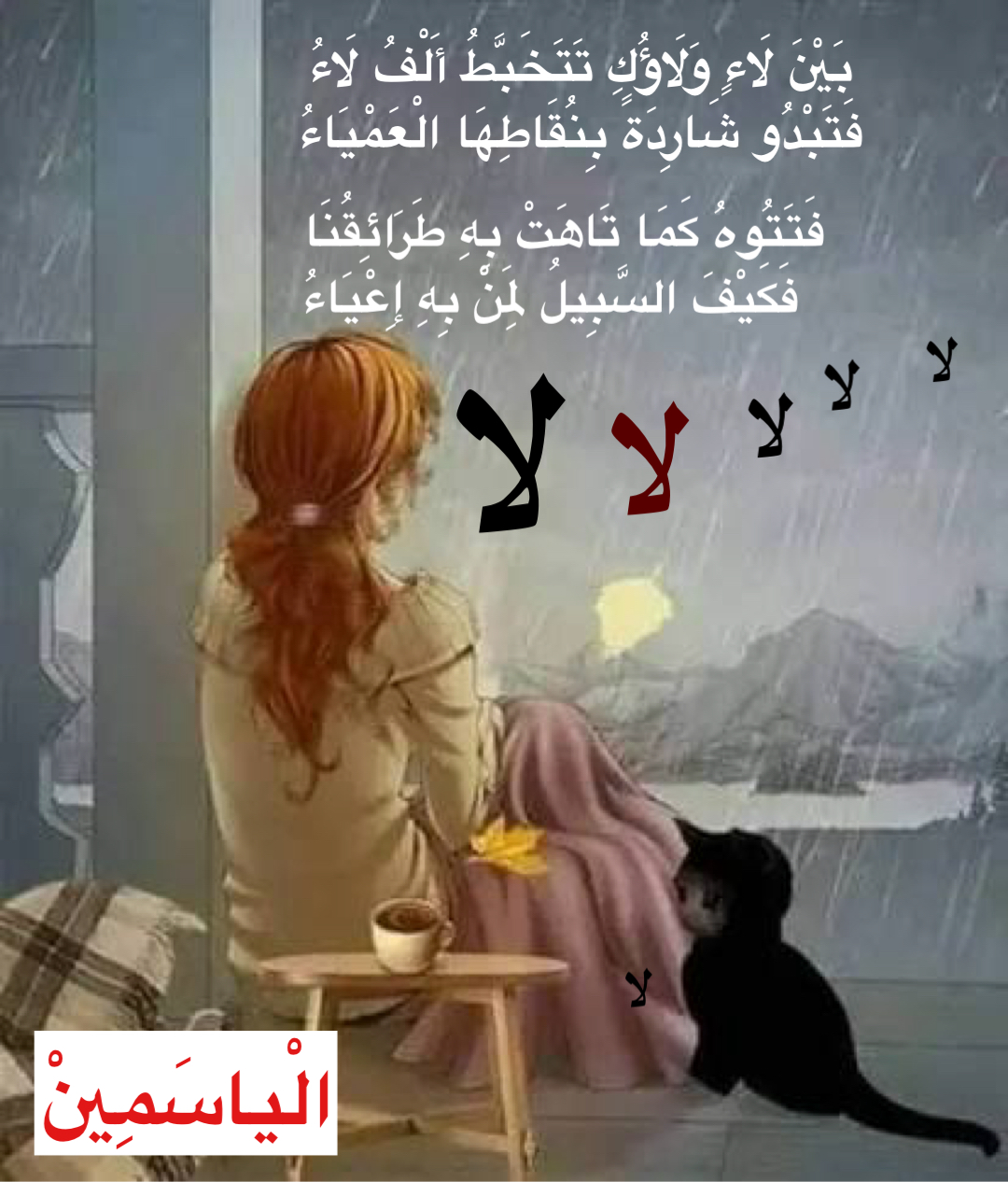 ���� �����..