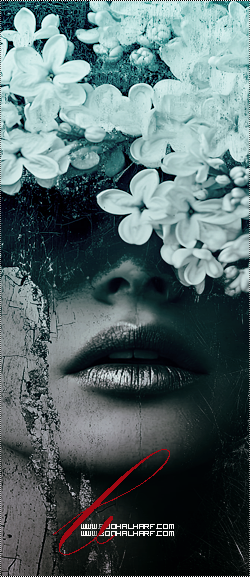 ���� ���� ������