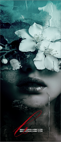 ���� ���� ������