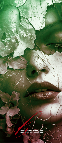 ���� ���� ������