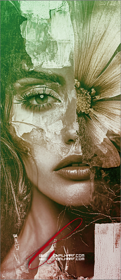 ���� ���� ������