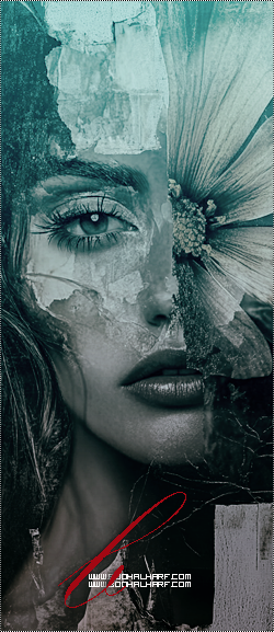 ���� ���� ������