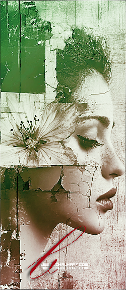 ���� ���� ������