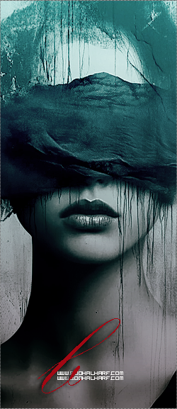 ���� ���� ������