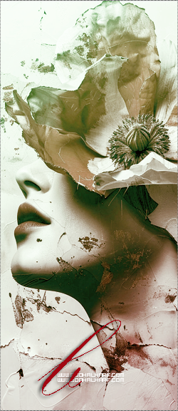 ���� ���� ������