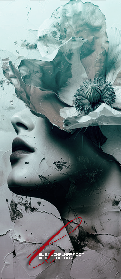 ���� ���� ������