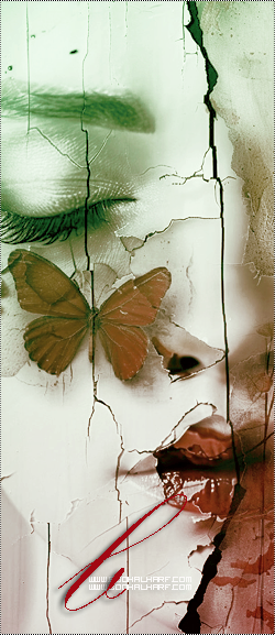 ���� ���� ������