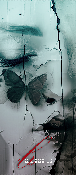 ���� ���� ������