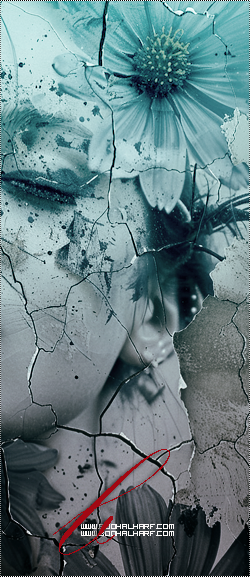 ���� ���� ������