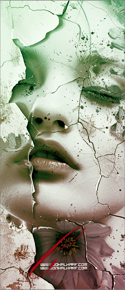 ���� ���� ������