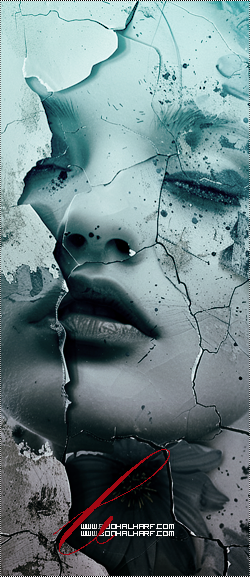 ���� ���� ������