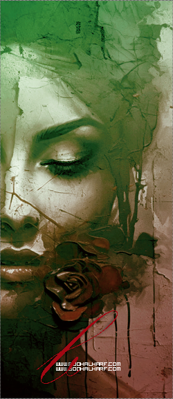 ���� ���� ������