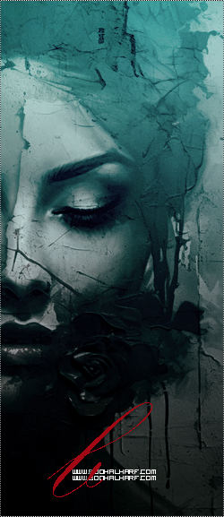 ���� ���� ������