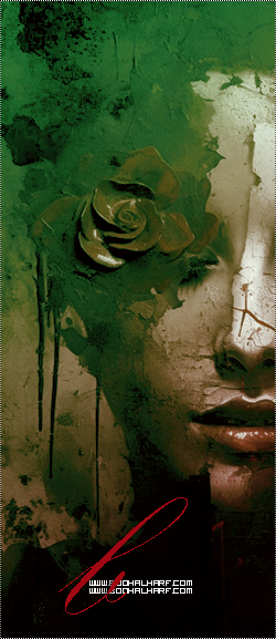 ���� ���� ������