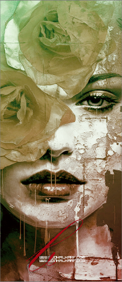 ���� ���� ������