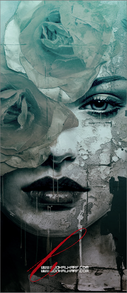 ���� ���� ������