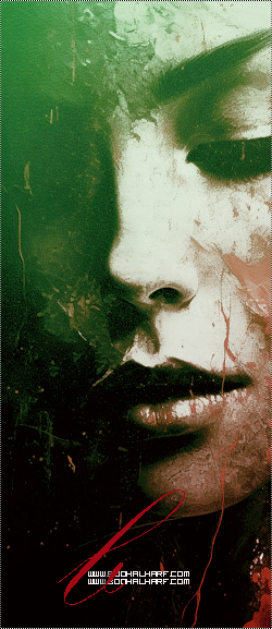 ���� ���� ������