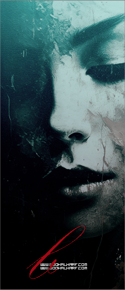 ���� ���� ������