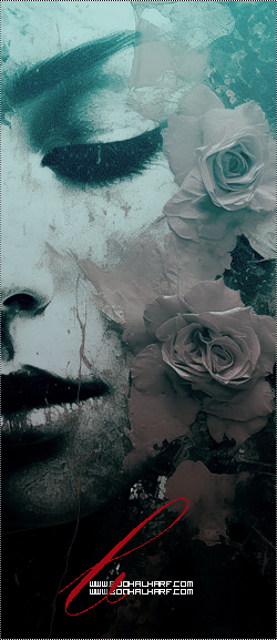 ���� ���� ������