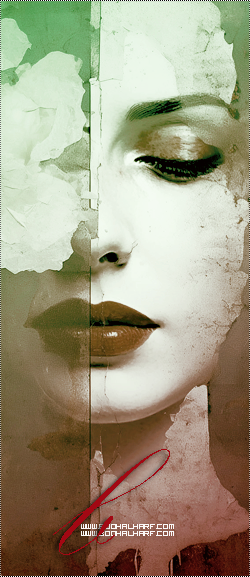 ���� ���� ������