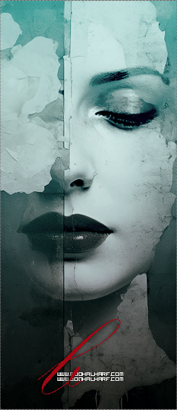 ���� ���� ������